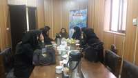 برگزاری جلسه کارشناس مسئولان سلامت جوانان، نوجوانان و مدارس ستاد شهرستانهای تابعه در خصوص برنامه های بزرگداشت روز ملی و هفته جوان 