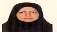 کارشناس جوانان، نوجوانان و مدارس