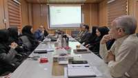  چهارمین کارگروه پیشگیری از سقط عمدی جنین در معاونت بهداشت 