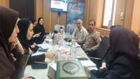 بررسی راهکارهای تداوم موفقیت در کنترل بیماری سالک در شهرستان دامغان