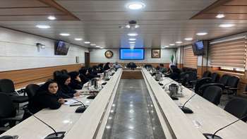دومین جلسه هماهنگی با جمعی از پزشکان شاغل در مراکز خدمات جامع سلامت 