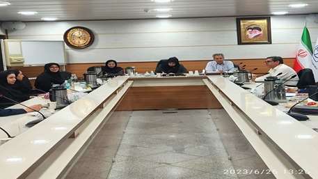  انجام نظارت وزارتی و بازدید از برنامه های اجرایی  واحد بهبود تغذیه جامعه معاونت بهداشتی 